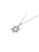Pendentif étoile de David en argent avec Embe traditionnel, argent sterling F