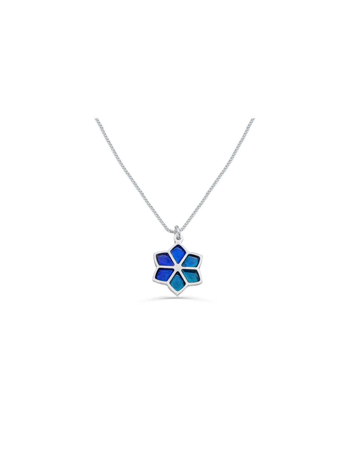 Collier floral étoile de David avec émail, famille en argent sterling Nec