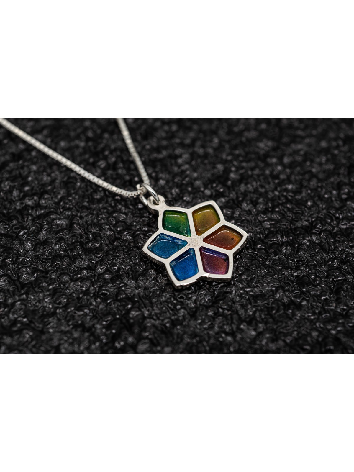Collier floral étoile de David avec émail, famille en argent sterling Nec