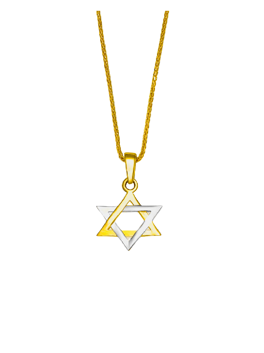 Petite étoile de David en or jaune et blanc 14 carats, cadeaux Tu B'Av, I