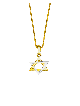 Petite étoile de David en or jaune et blanc 14 carats, cadeaux Tu B'Av, I