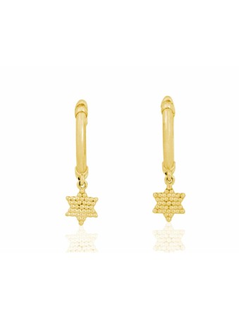 Boucles d'oreilles élégantes Étoile de David en or 14 carats, Cadeaux Tu B'Av, Juda israélien