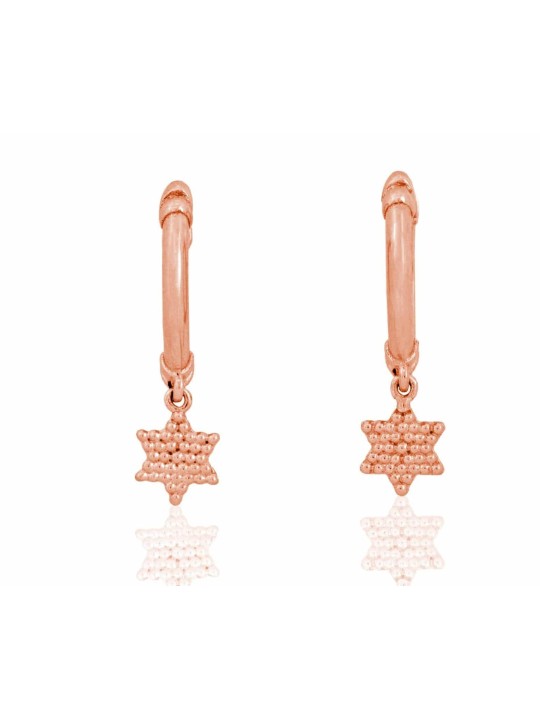 Boucles d'oreilles élégantes Étoile de David en or 14 carats, Cadeaux Tu B'Av, Juda israélien