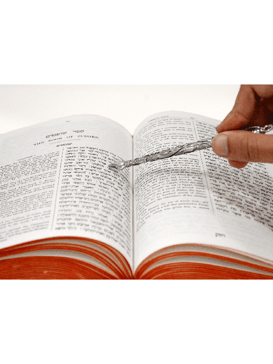 Pomegranate Design Torah Pointer for Child , Simchat Torah Gifts , Isr