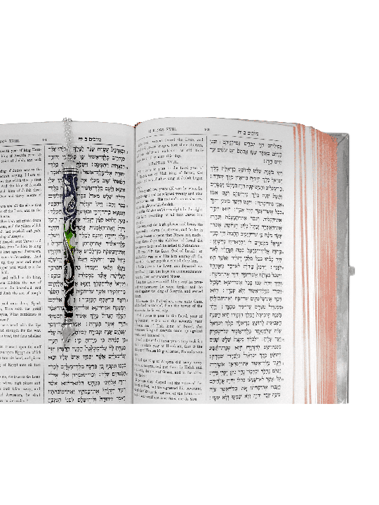 Pointeur de Torah coloré avec étiquette personnalisée, cadeaux Simchat Torah, I