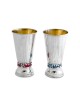 Coupe de Kiddush en émail coloré avec nom personnalisé, Kiddush Cu moderne