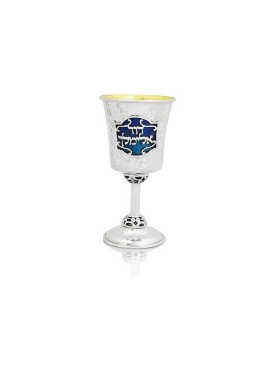 Tasse de Kiddush émaillée sur mesure en argent sterling, tasses de Kiddush modernes, est