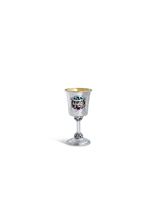 Sterling Silver Custom Enameled Kiddush Cup , Modern Kiddush Cups , Is