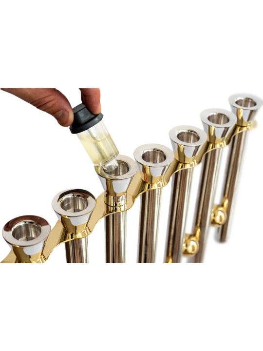 XL Hanukkah Menorah Sterling Silver & Brass , Modern Hanukkah Menorahs