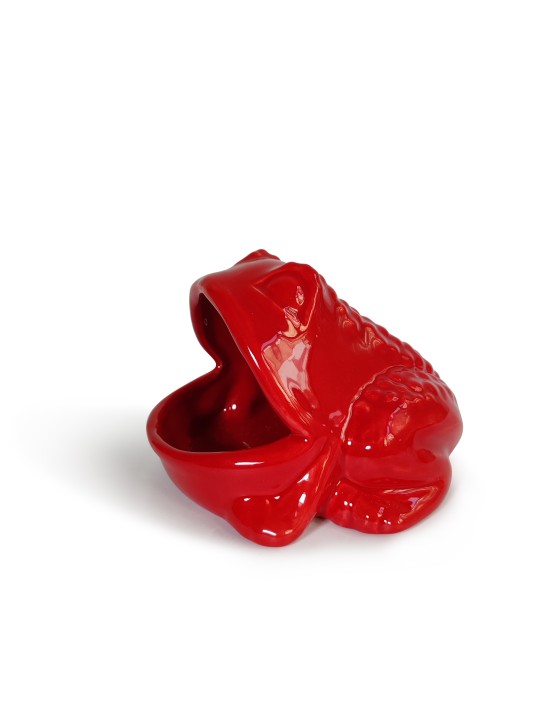 Red Ceramic Kitchen Sponge Holder Frog-Shaped , Tu B'Av Gifts , Israel