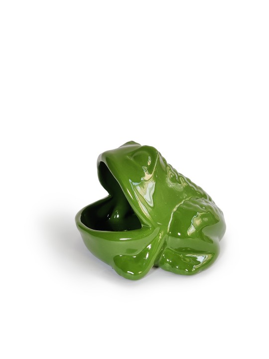 Frog Looking Ceramics Spoge holder , Tu B'Av Gifts , Israeli Judaica
