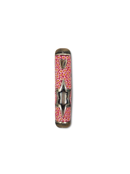 Star of David Gold Color Mezuzah Case , Children's Mezuzahs , Israeli