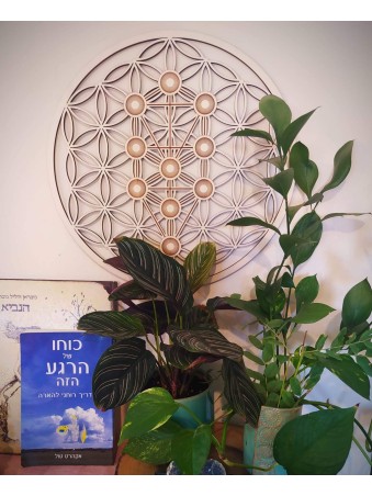 Énergie Sefirot , Dons de Tu B'Av , Judaica Israélienne