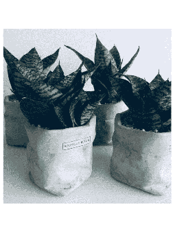Concrete Flower Pot Sack , Tu B'Av Gifts , Israeli Judaica