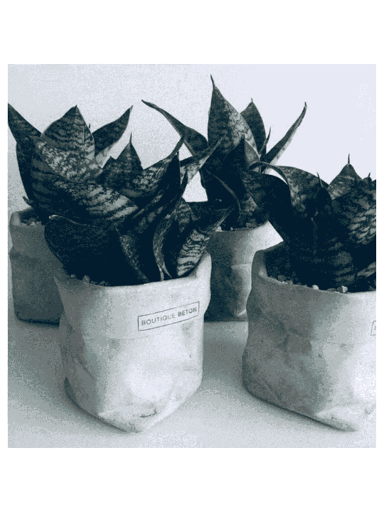 Sac de pot de fleurs en béton, cadeaux Tu B'Av, Judaica israélien