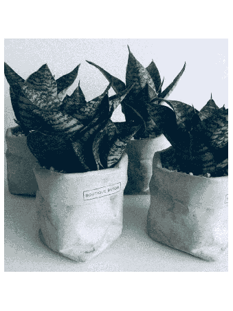 Sac de pot de fleurs en béton, cadeaux Tu B'Av, Judaica israélien