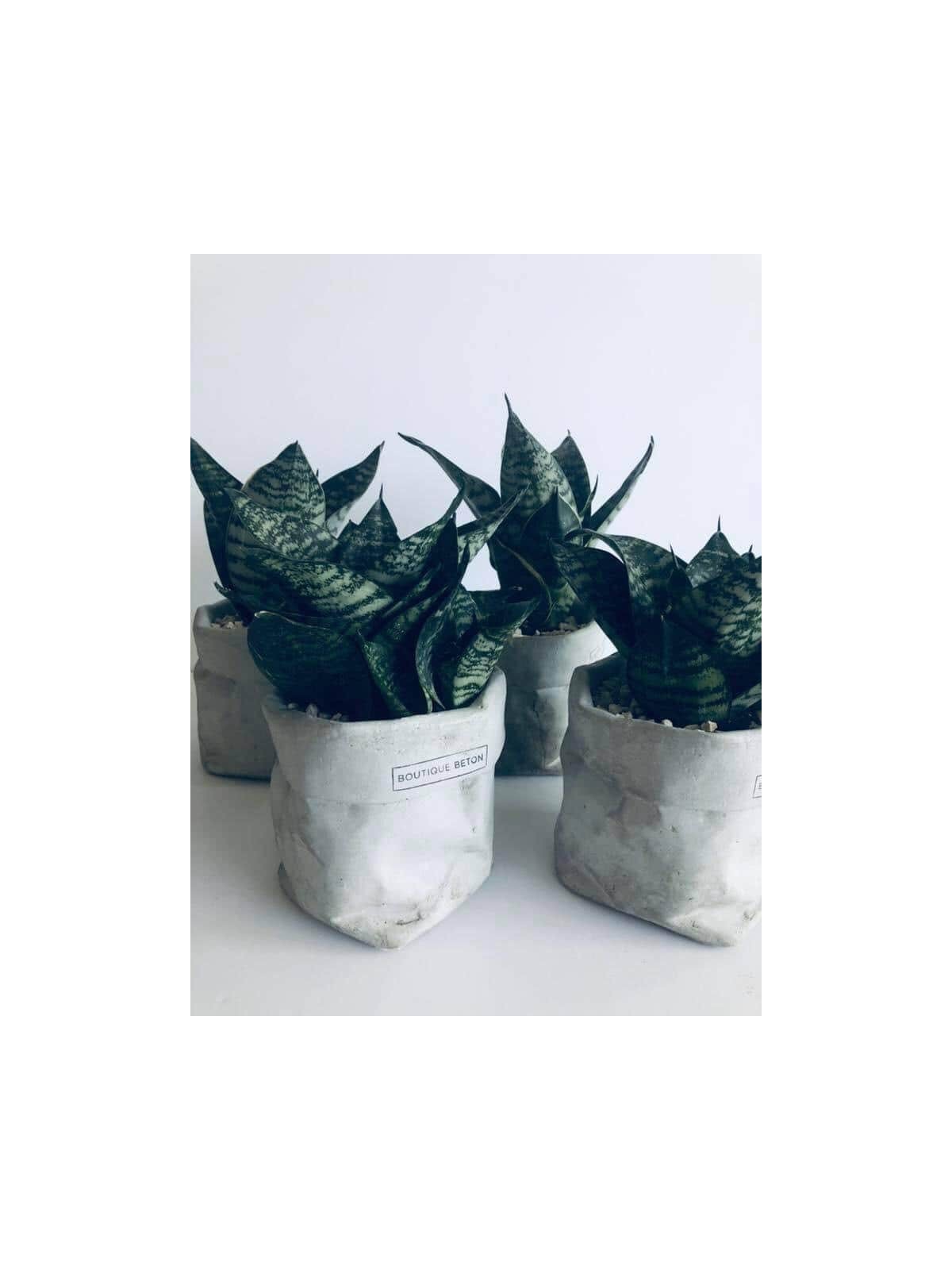 Sac de pot de fleurs en béton, cadeaux Tu B'Av, Judaica israélien