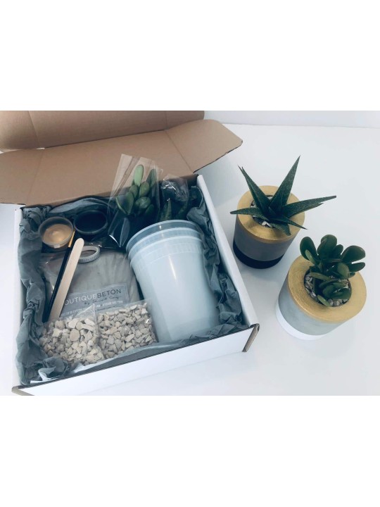Flower Box Kit complet un planteur de béton , Cadeaux Tu B'Av , Judai israélien
