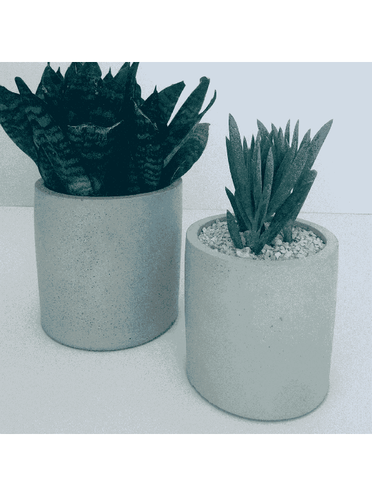 Stylish Concrete Flower Box , Tu B'Av Gifts , Israeli Judaica