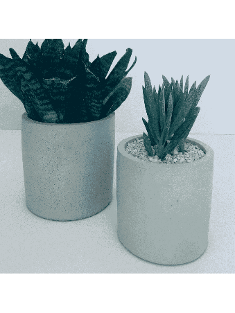 Stylish Concrete Flower Box , Tu B'Av Gifts , Israeli Judaica