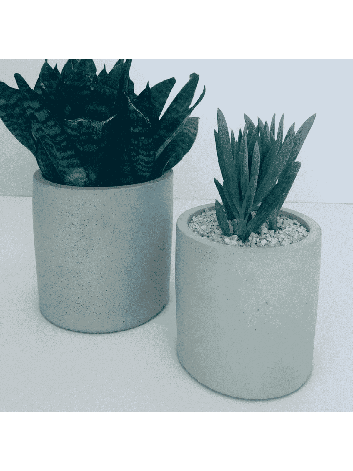 Stylish Concrete Flower Box , Tu B'Av Gifts , Israeli Judaica