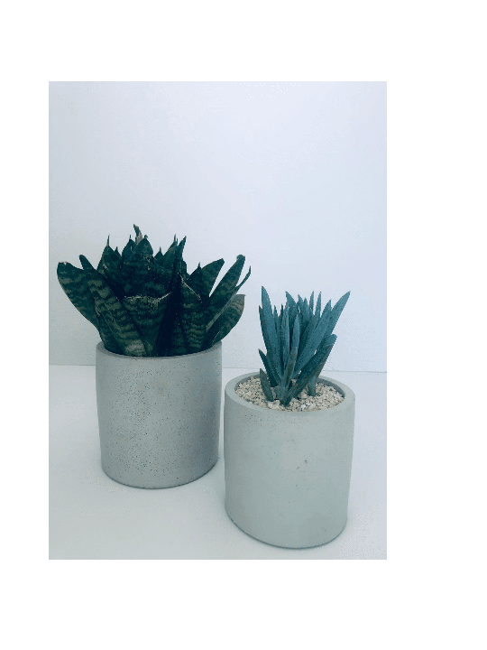 Stylish Concrete Flower Box , Tu B'Av Gifts , Israeli Judaica