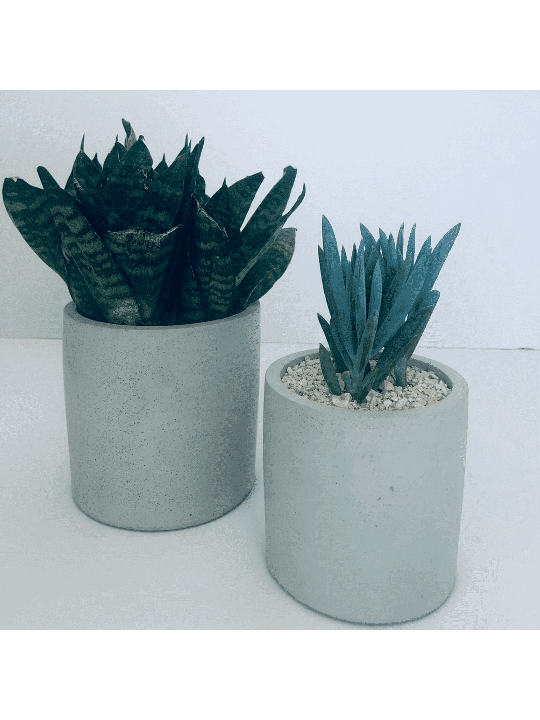 Boîte à fleurs en béton élégante, cadeaux Tu B'Av, Judaica israélien