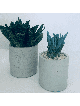 Stylish Concrete Flower Box , Tu B'Av Gifts , Israeli Judaica