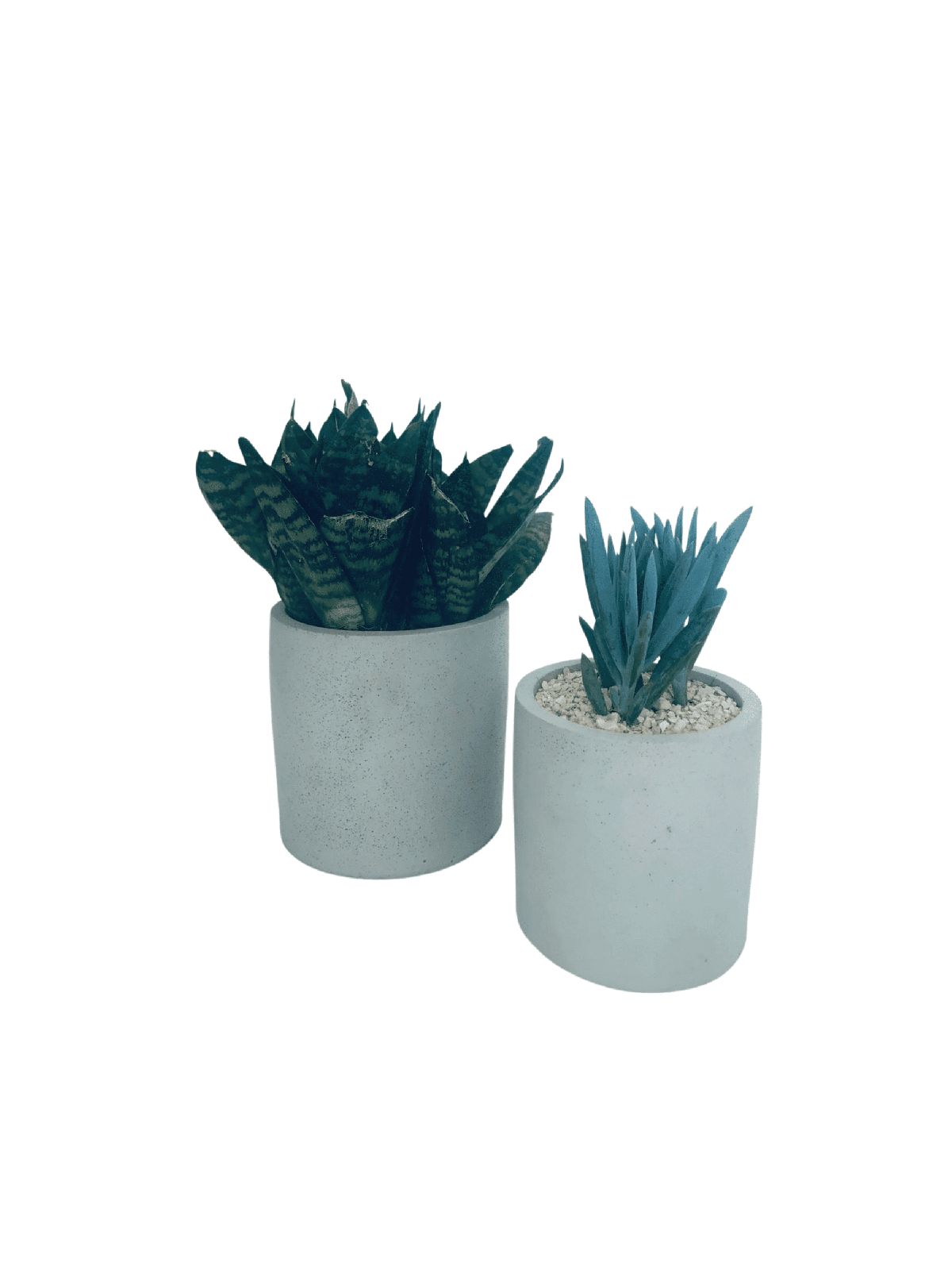 Stylish Concrete Flower Box , Tu B'Av Gifts , Israeli Judaica