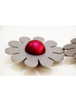 Salière en aluminium en forme de fleur, pendaison de crémaillère juive, Jud israélien