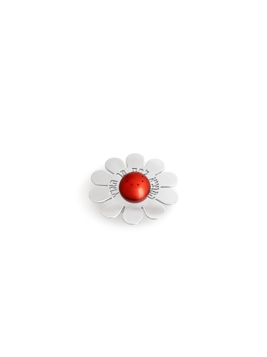 Unique Flower Salt Shaker Bénédiction hébraïque , Pendaison de crémaillère juive , Isra