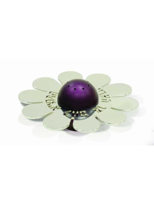 Unique Flower Salt Shaker Hebrew Blessing , Jewish Housewarming , Isra