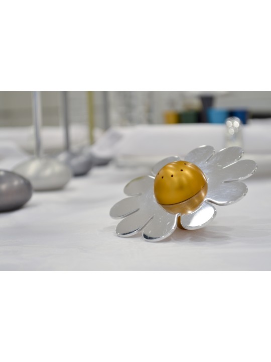 Salière en aluminium floral brillant, pendaison de crémaillère juive, Juda israélien