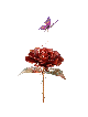 Belle une grande rose rouge en cuivre avec papillon, cadeau de mariage juif