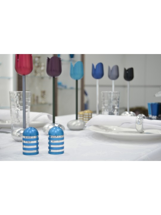 Contemporary Salt and Pepper Set , Jewish Housewarming , Israeli Judai