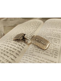 Jerusalem Western Wall Inspired Tallit Clips , Tallit Clips , Israeli