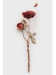 Special Two Red Roses 3D Sculpture with Butterfly , Jewish Wedding Gif