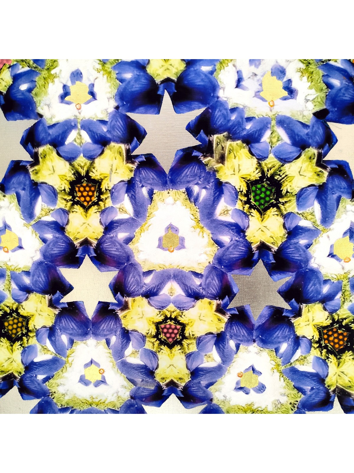 Étoile bleue et dorée de David peignant sur Pansy Flow, peintures juives