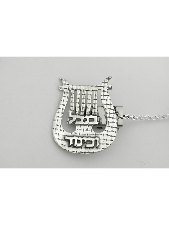 Harpe unique de David Silver Talit Clips , Talit Clips , Juda israélien
