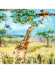 Safari Adventure Of Child On a Tree Feeding a Gira , Tu B'Av Gifts , I