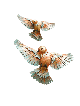 Unique Bird Copper Wall Hanging Art , Jewish Wedding Gifts , Israeli J