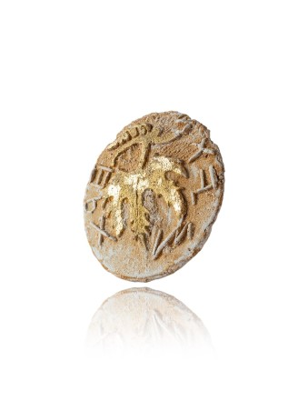 La première pièce de monnaie de la révolte juive pour la liberté de Sion, Shalom Sofer, est