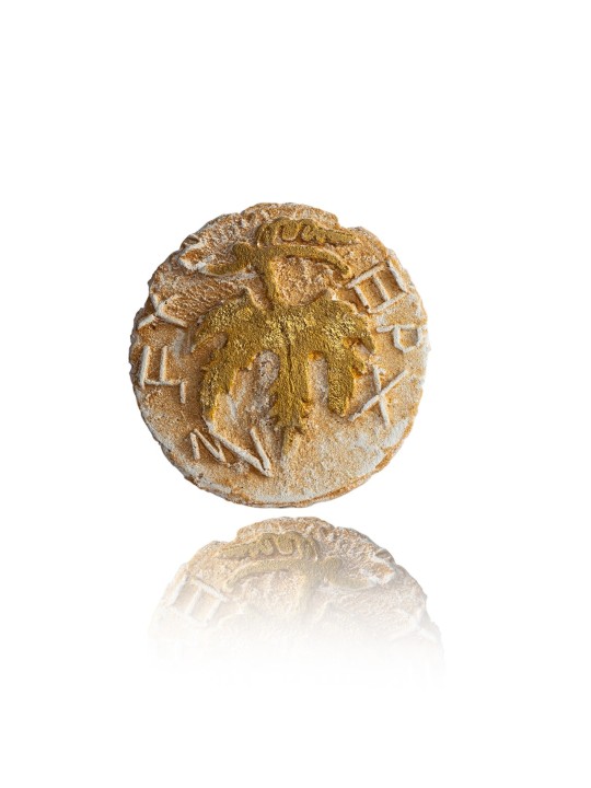 First Jewish Revolt Coin For The Freedom To Zion S , Shalom Sofer , Is