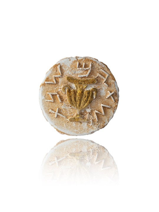 First Jewish Revolt Coin Sculpture "For the Freedo , Shalom Sofer , Is