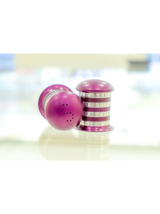 Salt and Pepper Aluminum Tableware with Shiny Ring , Jewish Housewarmi