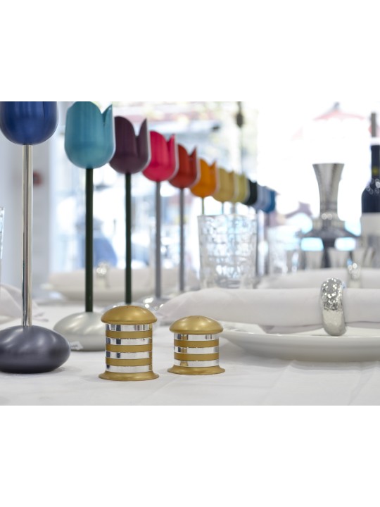 Salt and Pepper Aluminum Tableware with Shiny Ring , Jewish Housewarmi
