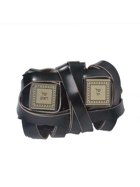 Magnifique Tefillin simple pour Bar Mitzvah, Tefillin et Tefillin Boxe