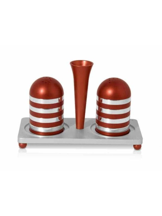 Stylish Aluminum Salt and Pepper with Tray Set , Jewish Housewarming ,
