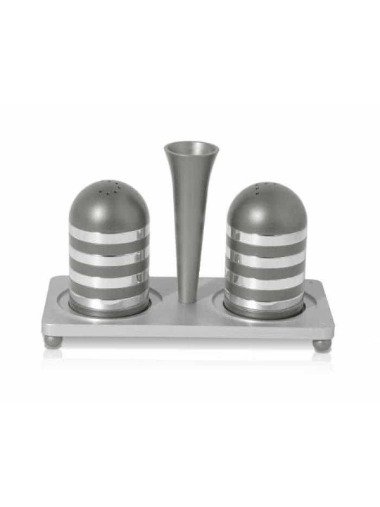 Stylish Aluminum Salt and Pepper with Tray Set , Jewish Housewarming ,