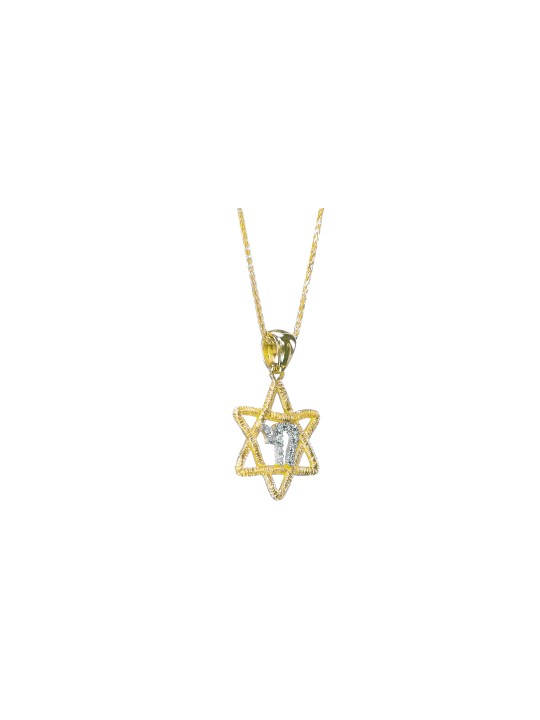 Petite étoile de David en diamant et or avec stylo Chai, cadeaux Tu B'Av, I